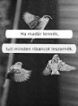 /album/fenykepgaleria/images-jpg/