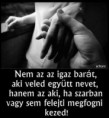 /album/fenykepgaleria/nem-az-az-igaz-barat-jpg/